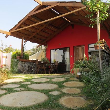 The Green And Red Cabins Ma'ale Gamla Extérieur photo